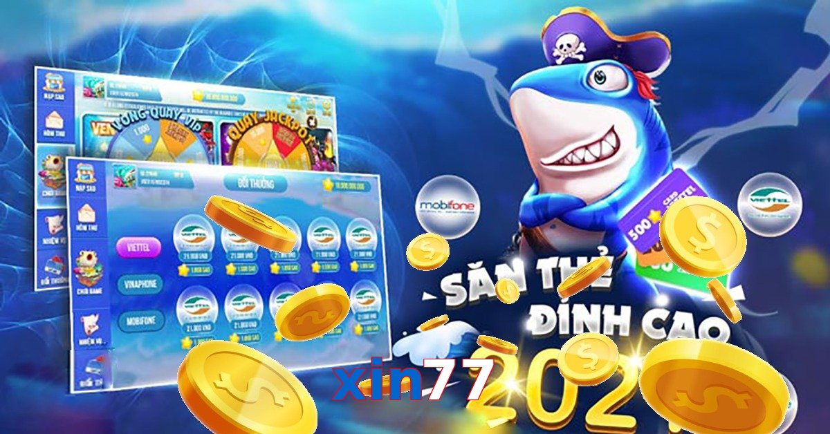 xin77