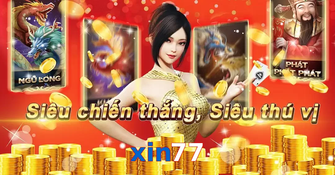 xin77